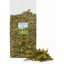 Factoryherbs Plantain leaf - treat for...