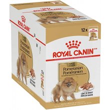 Royal Canin Pomeranian (karp, 12x85g) (BHN)