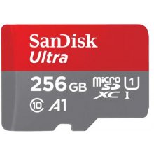Western Digital Mem.card SanDisk mSDXC 256GB...