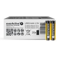 EverActive EVLR03S2IK household battery...