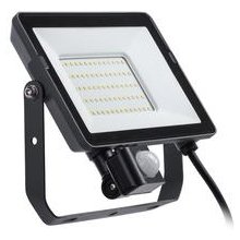 Philips by Signify Philips Floodlight