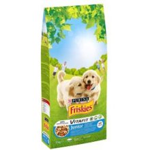 Purina Friskies Junior - dry dog food - 15...