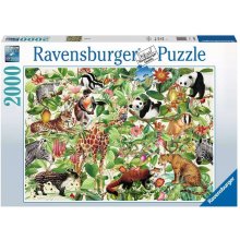 Ravensburger Puzzle 2000 elements Jungle