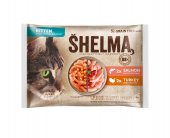 SHELMA - Salmon & Turkey Mix - KITTEN -...