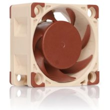 Noctua NF-A4x20 PWM Computer case Fan 4 cm...