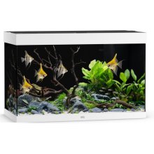 Juwel Akvaarium Rio LED 290 L valge