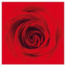Herlitz napkin 33/3/20 Rose rouge