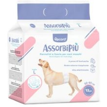 Record Disposable male dog band diapers L 12...