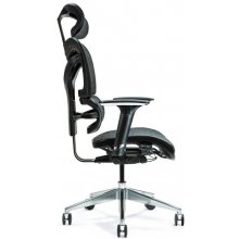 BEMONDI Ergonomic office chair ERGO 600...