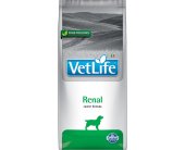 Farmina - Vet Life - Dog - Renal - 12kg