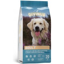 DIVINUS Adult - dry dog food - 20 kg