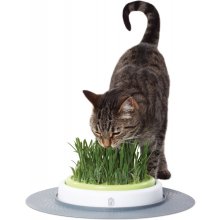Catit Трава для кошек + миска Design Senses...