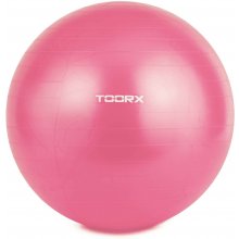 TOORX Gym ball AHF-069 D55cm with pump
