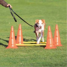 Trixie Dog Activity Obstacles, set 2 pcs., ø...