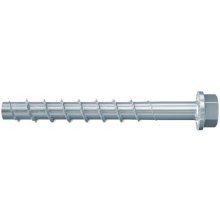 Fischer 536862 100 mm 50 pc(s) Screw