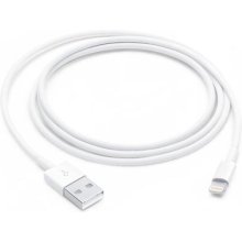 Apple Lightning to USB Cable (1m)