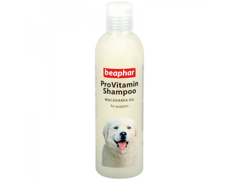 Beaphar shop puppy shampoo