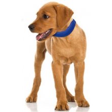 Record STAY FRESH COOLING COLLAR 46-56 CM
