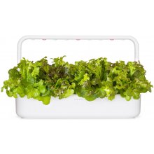 Click & Grow Smart Refill Красный салат...