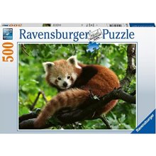 Ravensburger Puzzle Cute Red Panda (500...
