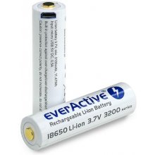 EverActive FWEV1865032MBOX household battery...