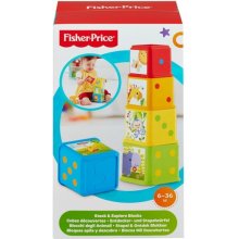 FISHER PRICE Explorer blocks