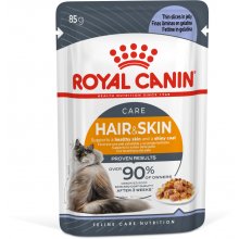 Royal Canin - Cat - Hair & Skin - in Jelly -...
