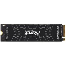 Kingston Technology 1000G FURY RENEGADE M.2...