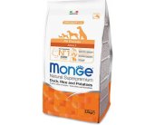 Monge - Dog - All Breeds - Adult - Duck...