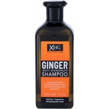 Xpel Ginger 400ml - Shampoo naistele Yes...