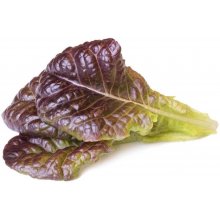 Click & Grow Smart Garden refill Red Lettuce...