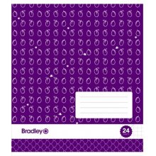 Bradley Copybook 24 sheets squared 20 pieces