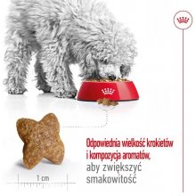 Royal Canin Adult Mini S - dry dog food -...