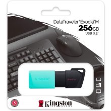 Флешка Kingston 256GB DataT Exodia M USB3.2