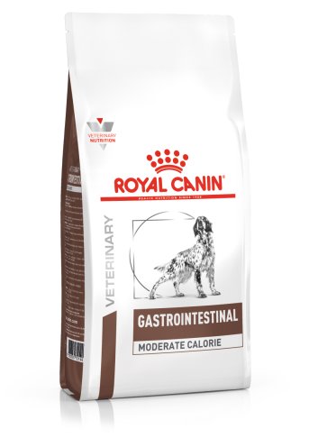 Gastro intestinal shop moderate calorie feline