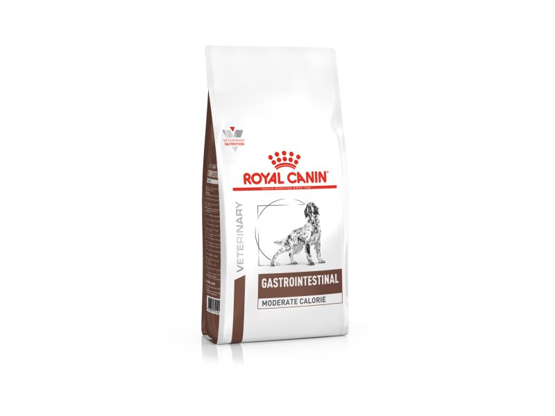 Gastrointestinal royal shop canin cat food