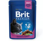 Brit Premium - Cat - Chicken & Turkey -...