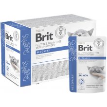 Brit GF Veterinary Diet s Cat Pouch Recovery...