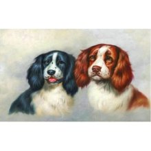 Norimpex Diamond Mosaic - Dogs portrait