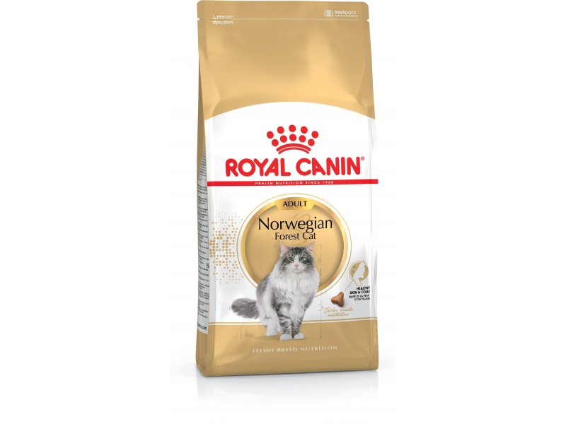 Royal canin siamese sale cat food 10kg