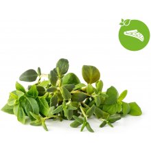 Click & Grow Plant Pod Italian Mix 9tk