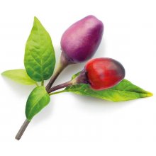 Click & Grow Smart Garden refill Пурпурный...