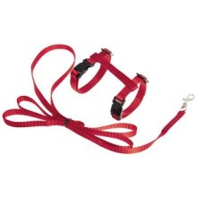 Flamingo red harness with a strap for a...