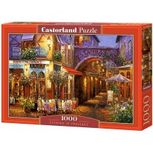 Castor Puzzle 1000 pcs Evening in Provence