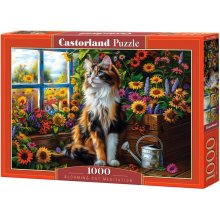 Castor Puzzle 1000 pieces Blooming Cat...