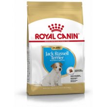 Royal Canin Jack Russell Junior / Puppy...