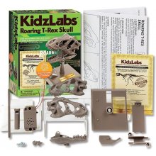 4m Educational kit Dino Skull