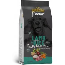 DIVINUS Flavour Lamb with Rice - Dry Dog...