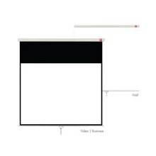 AVTek Video 200 projection screen 4:3