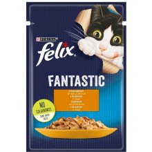 Felix Fantastic with chicken in jelly - wet...